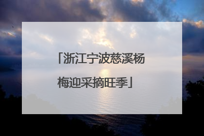 浙江宁波慈溪杨梅迎采摘旺季