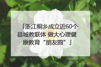 浙江桐乡成立近60个县域教联体 做大心理健康教育“朋友圈”