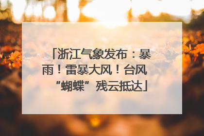 浙江气象发布：暴雨！雷暴大风！台风“蝴蝶”残云抵达