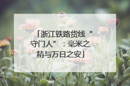 浙江铁路货线“守门人”：毫米之精与万日之安