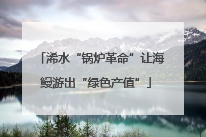 浠水“锅炉革命”让海鳗游出“绿色产值”