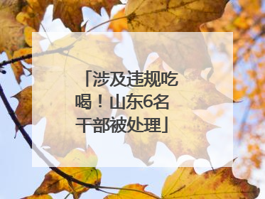 涉及违规吃喝！山东6名干部被处理