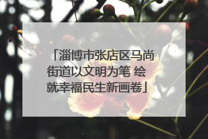 淄博市张店区马尚街道以文明为笔 绘就幸福民生新画卷