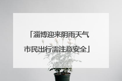 淄博迎来阴雨天气 市民出行需注意安全