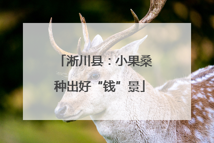 淅川县：小果桑种出好“钱”景