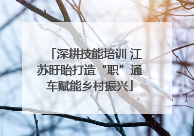 深耕技能培训 江苏盱眙打造“职”通车赋能乡村振兴