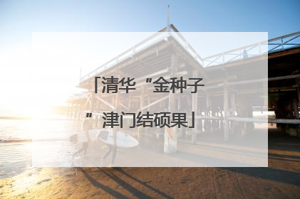 清华“金种子”津门结硕果