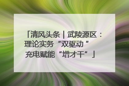 清风头条｜武陵源区：理论实务“双驱动 ” 充电赋能“增才干”