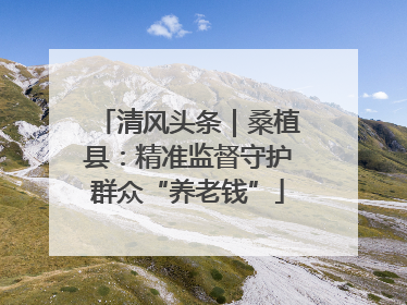 清风头条｜桑植县：精准监督守护群众“养老钱”