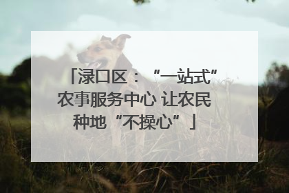 渌口区：“一站式”农事服务中心 让农民种地“不操心”