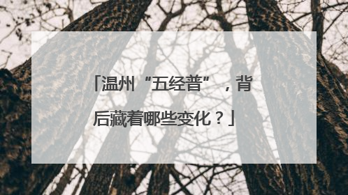 温州“五经普”，背后藏着哪些变化？