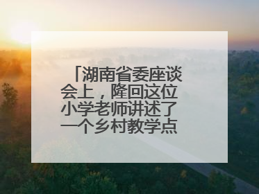 湖南省委座谈会上，隆回这位小学老师讲述了一个乡村教学点的温暖故事