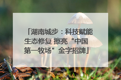 湖南城步：科技赋能生态修复 擦亮“中国第一牧场”金字招牌