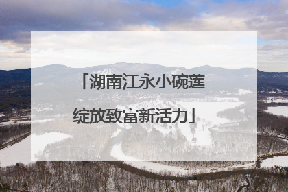 湖南江永小碗莲绽放致富新活力