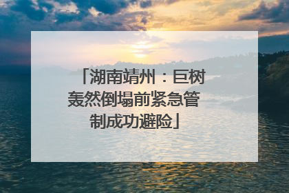 湖南靖州：巨树轰然倒塌前紧急管制成功避险