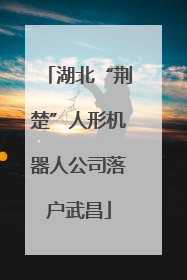 湖北“荆楚”人形机器人公司落户武昌