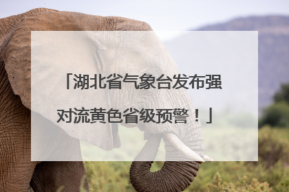 湖北省气象台发布强对流黄色省级预警！