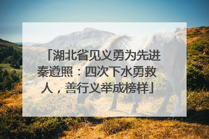 湖北省见义勇为先进秦遵照：四次下水勇救人，善行义举成榜样