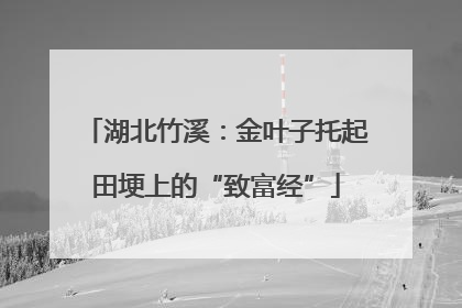 湖北竹溪：金叶子托起田埂上的“致富经”