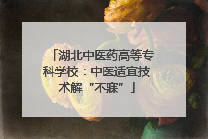 湖北中医药高等专科学校：中医适宜技术解“不寐”