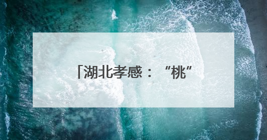 湖北孝感：“桃”醉盛夏 味美杨店
