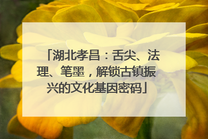 湖北孝昌：舌尖、法理、笔墨，解锁古镇振兴的文化基因密码
