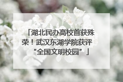 湖北民办高校首获殊荣！武汉东湖学院获评“全国文明校园”