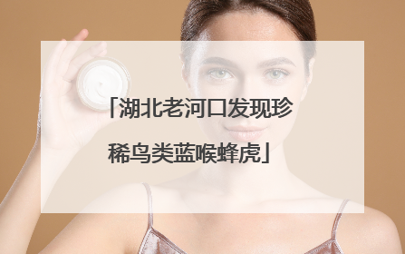 湖北老河口发现珍稀鸟类蓝喉蜂虎
