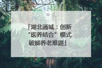 湖北通城：创新 “医养结合”模式 破解养老难题