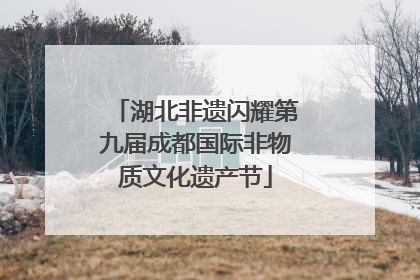 湖北非遗闪耀第九届成都国际非物质文化遗产节