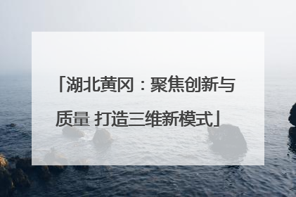 湖北黄冈：聚焦创新与质量 打造三维新模式