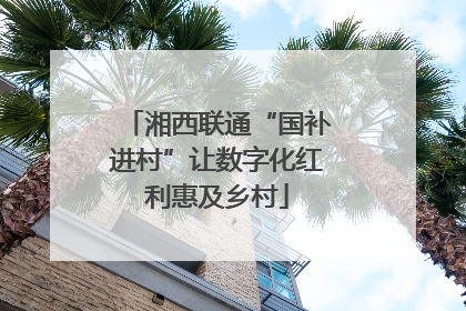 湘西联通“国补进村”让数字化红利惠及乡村