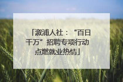 溆浦人社：“百日千万”招聘专项行动点燃就业热情