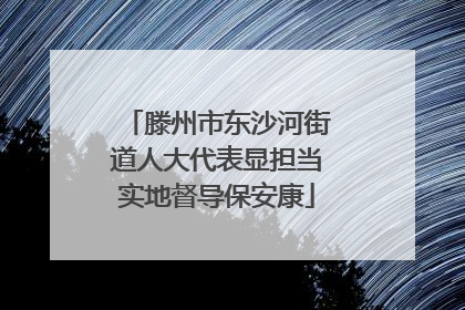 滕州市东沙河街道人大代表显担当实地督导保安康