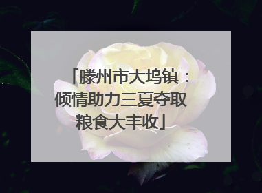 滕州市大坞镇：倾情助力三夏夺取粮食大丰收