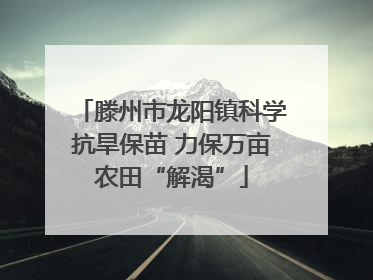 滕州市龙阳镇科学抗旱保苗 力保万亩农田“解渴”