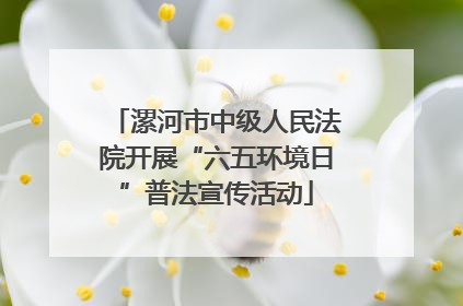 漯河市中级人民法院开展“六五环境日”普法宣传活动