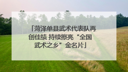 菏泽单县武术代表队再创佳绩 持续擦亮“全国武术之乡”金名片