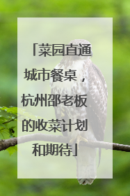 菜园直通城市餐桌，杭州邵老板的收菜计划和期待