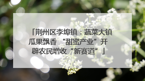 荆州区李埠镇：蔬菜大镇瓜果飘香 “甜蜜产业”开辟农民增收“新赛道”