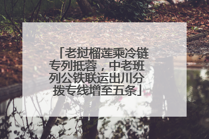 老挝榴莲乘冷链专列抵蓉，中老班列公铁联运出川分拨专线增至五条