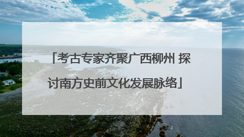 考古专家齐聚广西柳州 探讨南方史前文化发展脉络