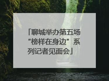 聊城举办第五场“榜样在身边”系列记者见面会