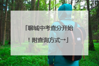 聊城中考查分开始！附查询方式→
