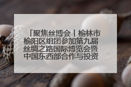 聚焦丝博会丨榆林市榆阳区组团参加第九届丝绸之路国际博览会暨中国东西部合作与投资贸易洽谈会