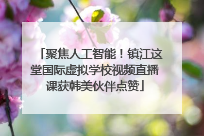 聚焦人工智能！镇江这堂国际虚拟学校视频直播课获韩美伙伴点赞
