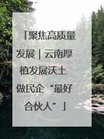 聚焦高质量发展｜云南厚植发展沃土 做民企“最好合伙人”