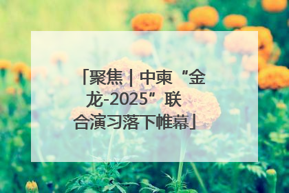 聚焦｜中柬“金龙-2025”联合演习落下帷幕