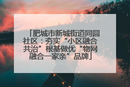 肥城市新城街道同圆社区：夯实“小区融合共治”根基做优“物网融合一家亲”品牌
