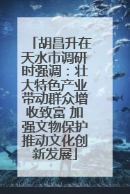 胡昌升在天水市调研时强调：壮大特色产业带动群众增收致富 加强文物保护推动文化创新发展